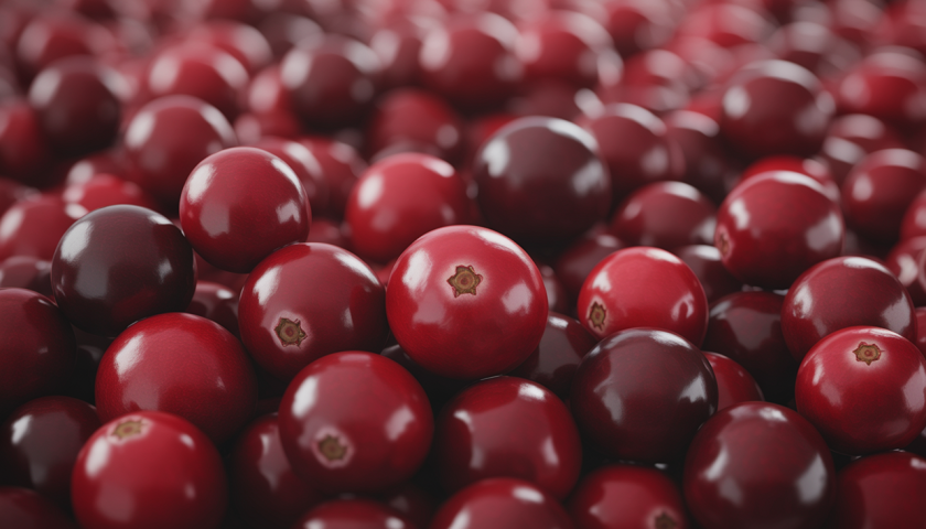 découvrez les bienfaits du jus de cranberry : prévention des infections, soutien de la digestion et renforcement de l’immunité. apprenez l’essentiel à retenir sur ce super-aliment naturel dans notre article.